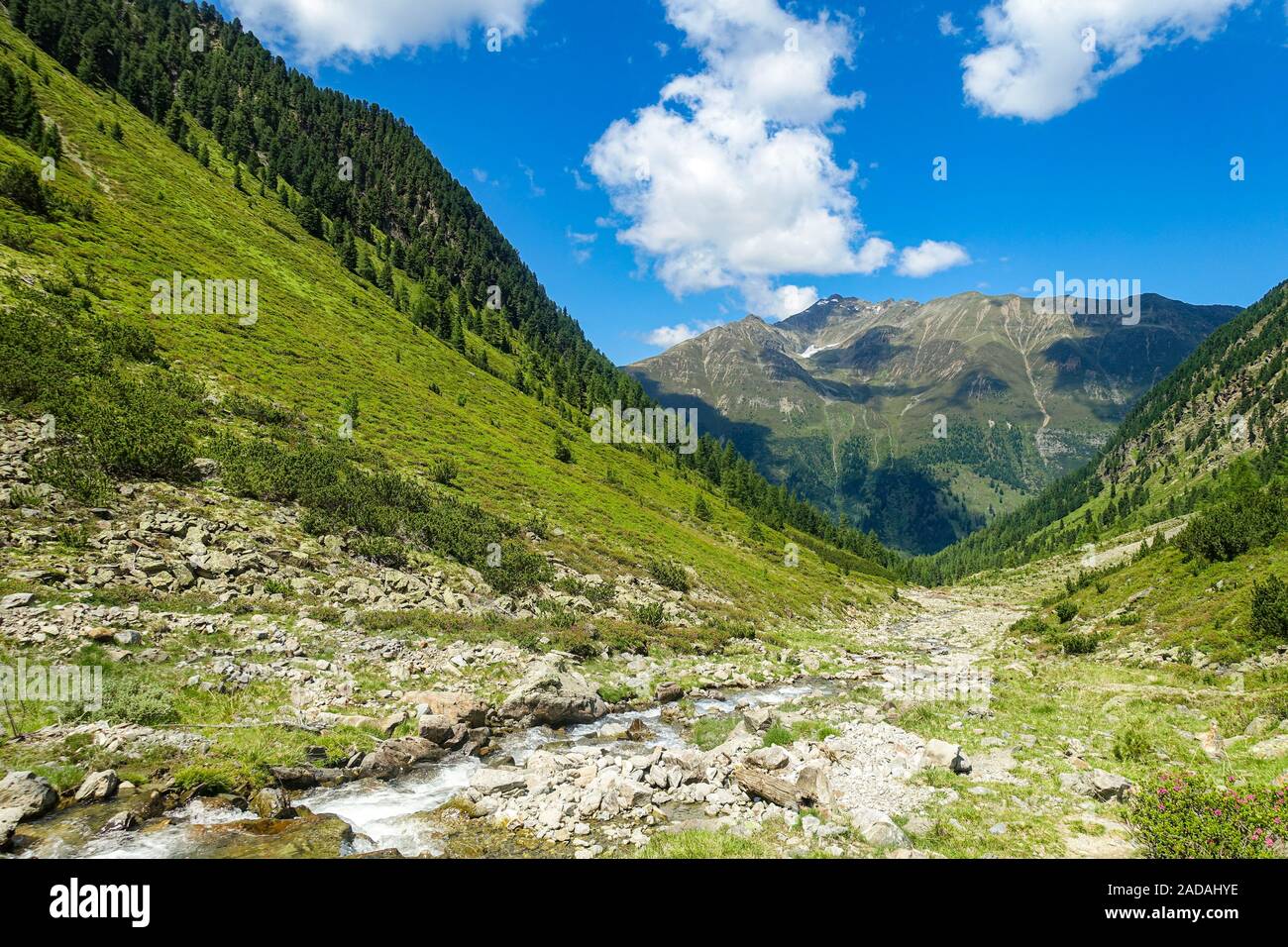 Mountain Stream in den hohen Bergen, Ötztaler Alpen Stockfoto