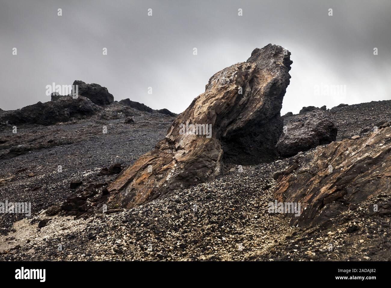 Bizarr geformten Landschaft mit Lavasteinen und Bimsstein in der Dragon Valley, Drekagil, Island Stockfoto