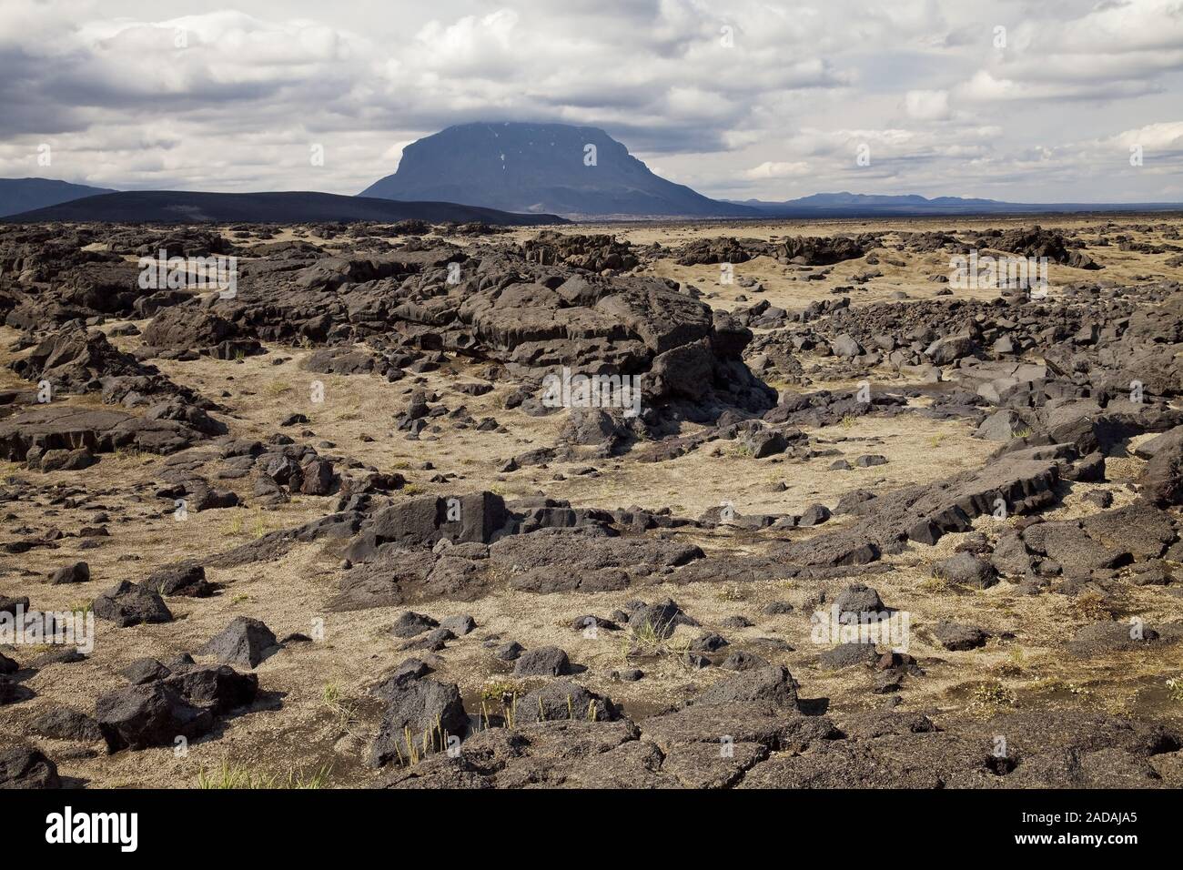 Vulkanische Landschaft mit Bimsstein und Berg Herdubreid, Highlands, Island Stockfoto
