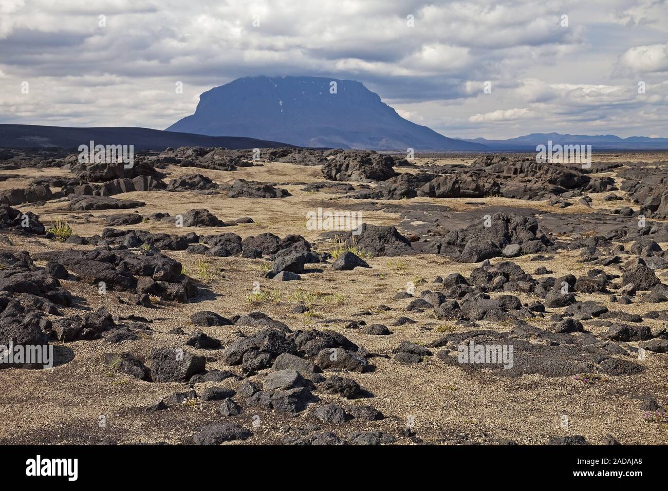 Vulkanische Landschaft mit Bimsstein und Berg Herdubreid, Highlands, Island Stockfoto