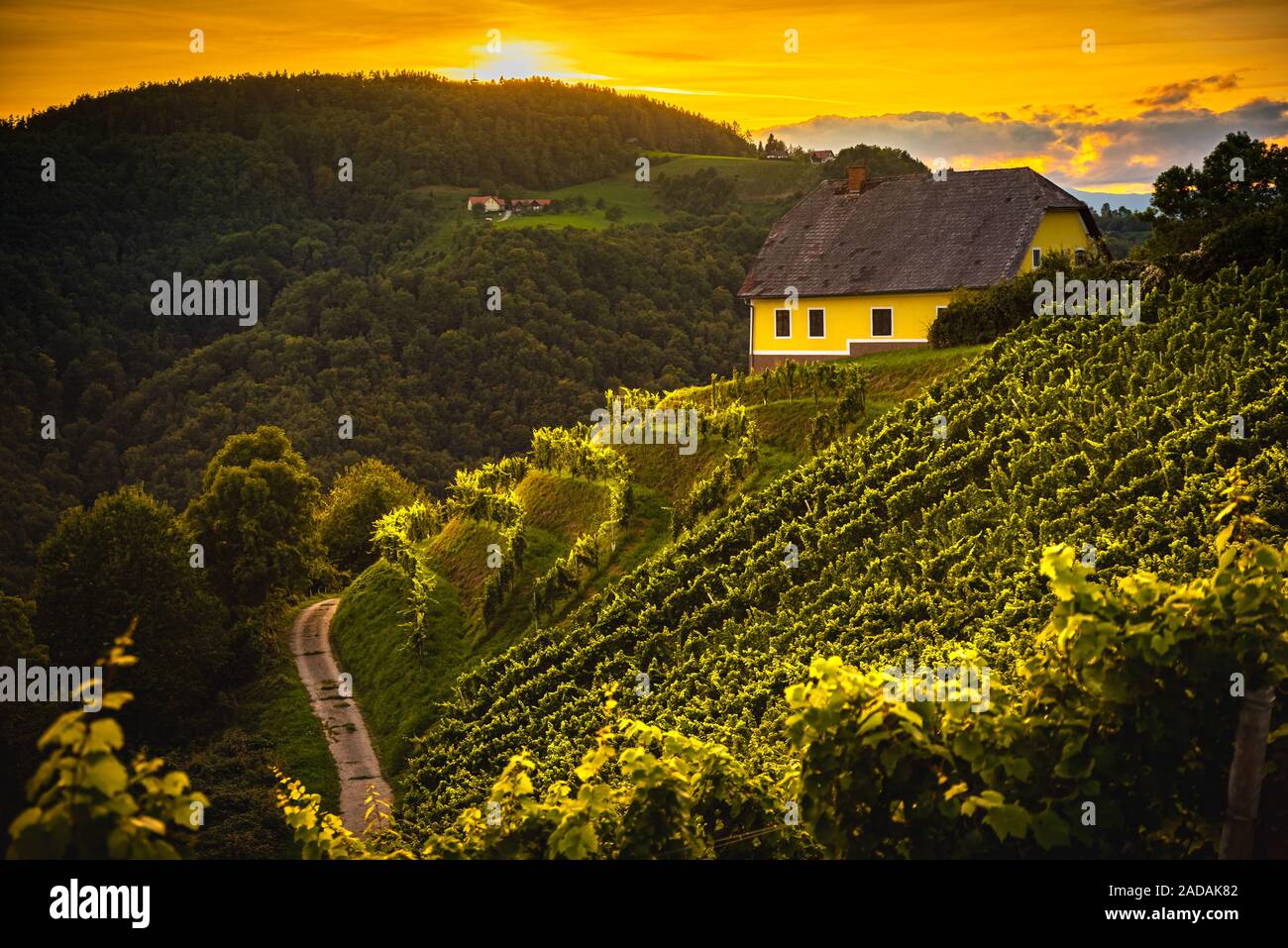 Bunte Landschaft der Sonnenuntergang an der Weinberge in Österreichischen Landschaft in der Stadt Kitzeck im Sausal Stockfoto