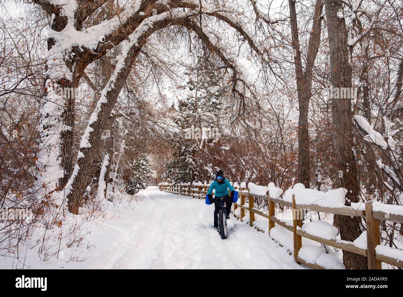 Radfahrer auf schneebedeckten Clear Creek Trail - Golden, Colorado, USA Stockfoto