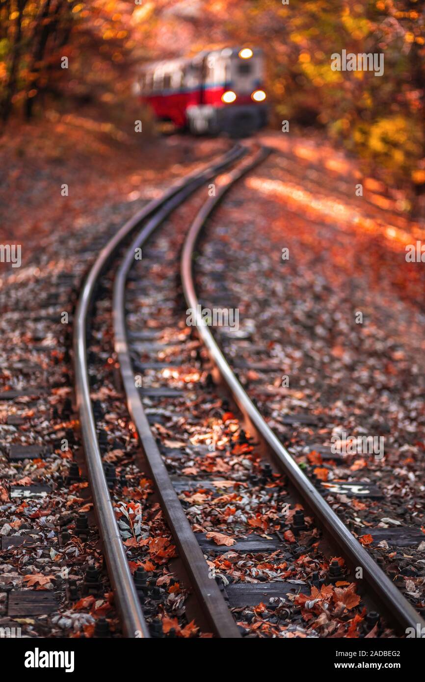 Budapest, Ungarn - wunderschöne Herbstlandschaft in den Ungarischen Wäldern von Huvosvolgy mit bunten orange und rot gefärbte Herbst Wald und Laub. Chil Stockfoto