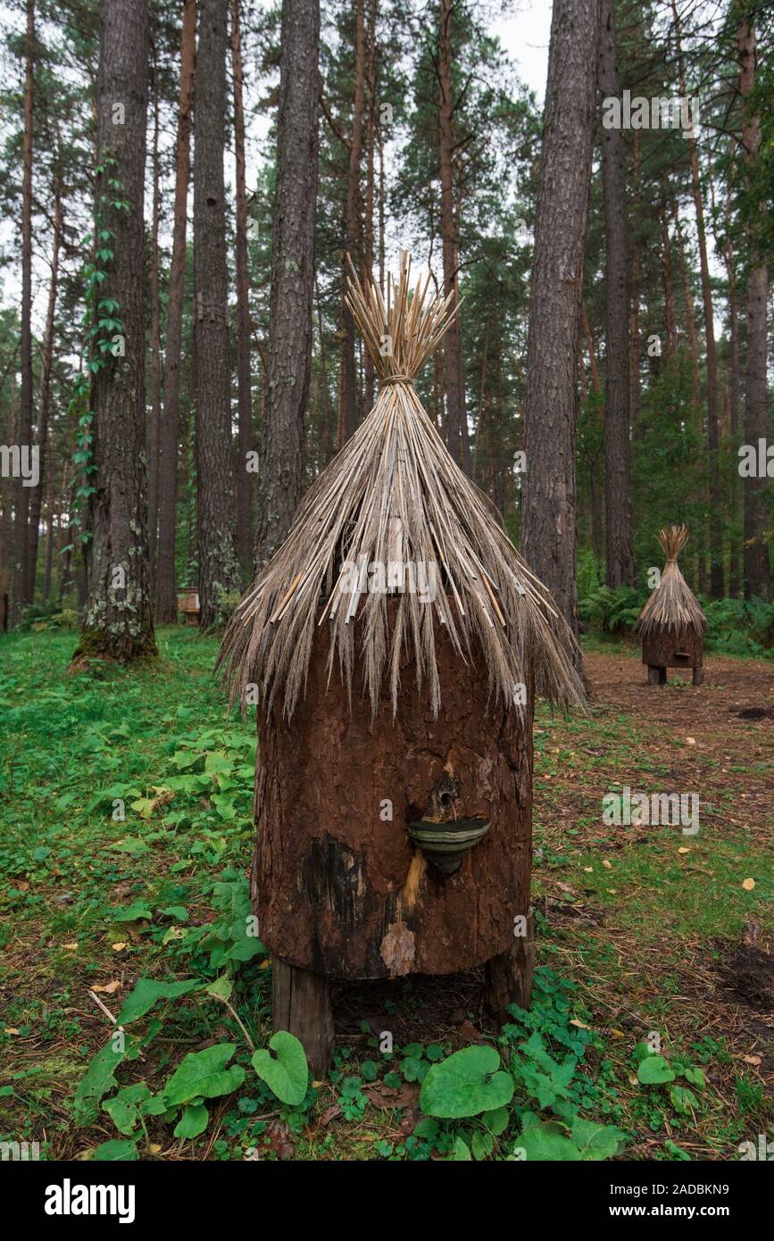 Alte bee-Hive im Wald Stockfoto