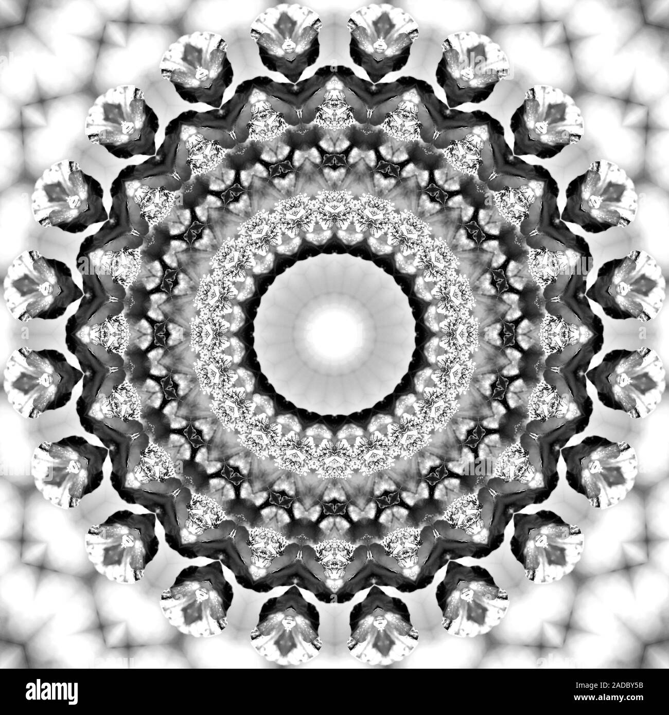 Florale kaleidoskopartige Muster. Einfarbige geometrische Verzierung. Mandala. Abstrakte schwarzen und weißen Hintergrund Stockfoto