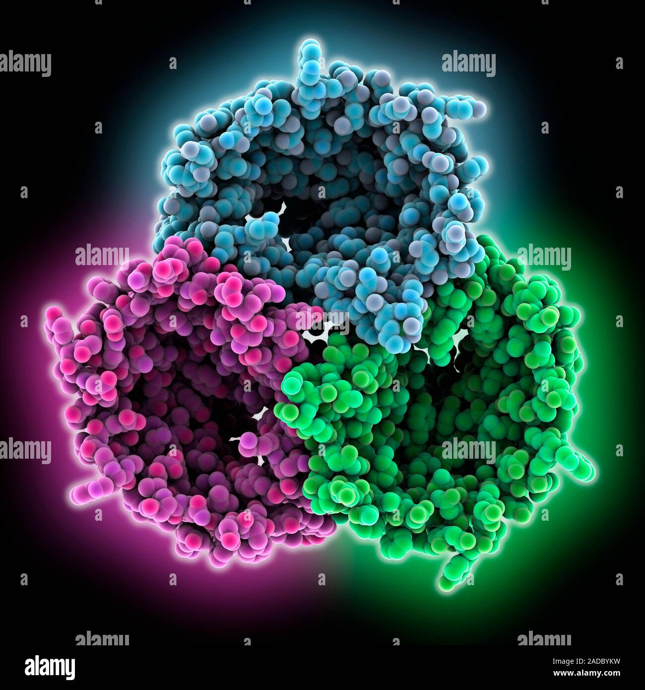 Porin Molekül. Computer Modell zeigt die Struktur der porin, ein Beta ...