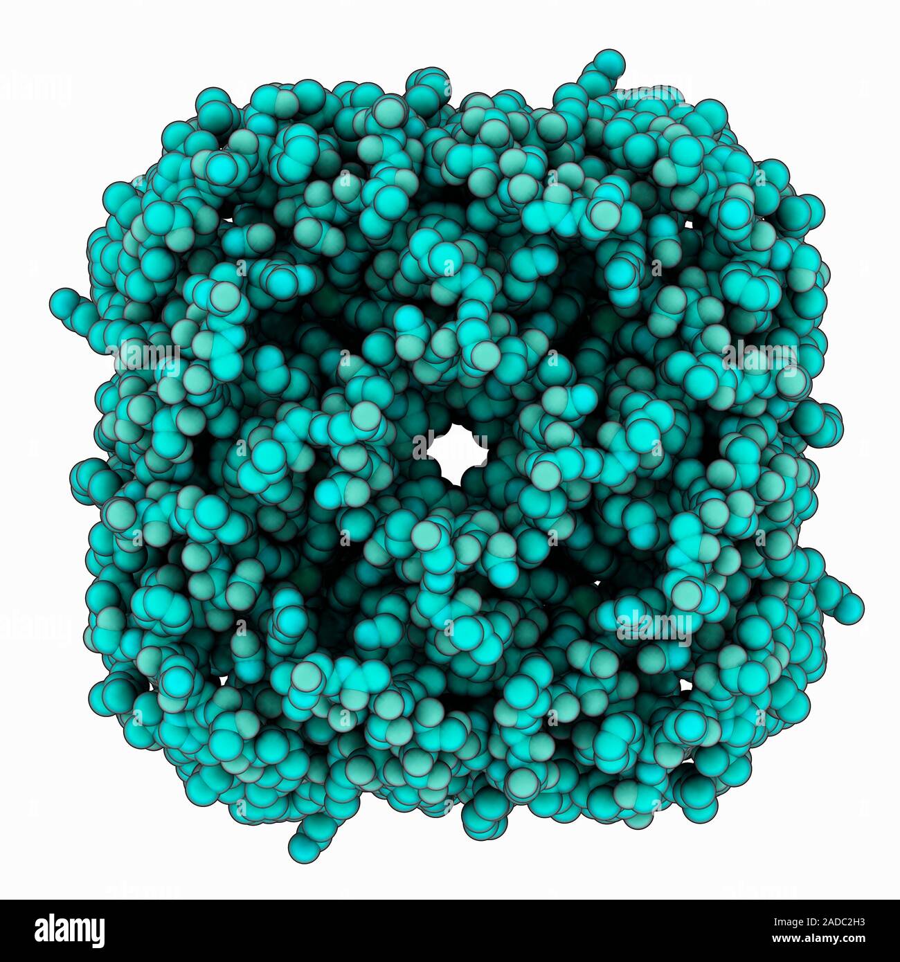 Aquaporin1Molekül. Computer Modell zeigt die Struktur der