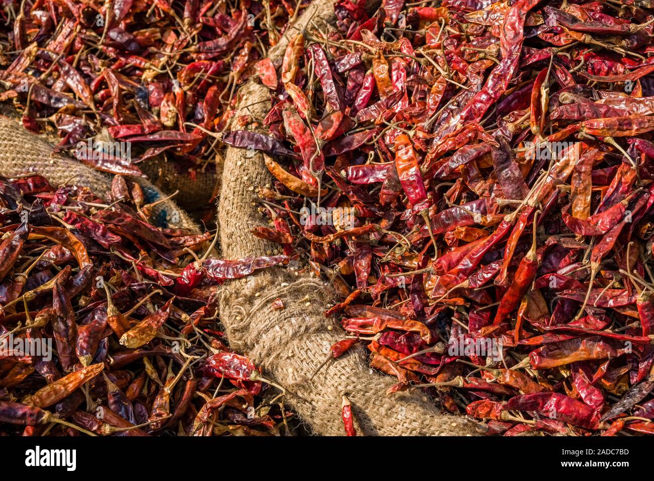 Säcke voller getrocknete Chilis sind an der Gewürzmarkt der Stadt verkauft. Stockfoto