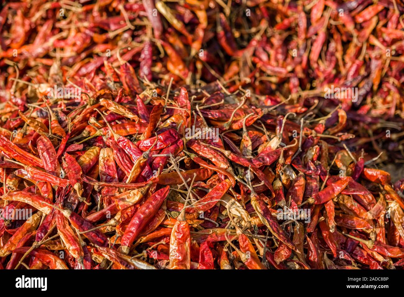 Säcke voller getrocknete Chilis sind an der Gewürzmarkt der Stadt verkauft. Stockfoto