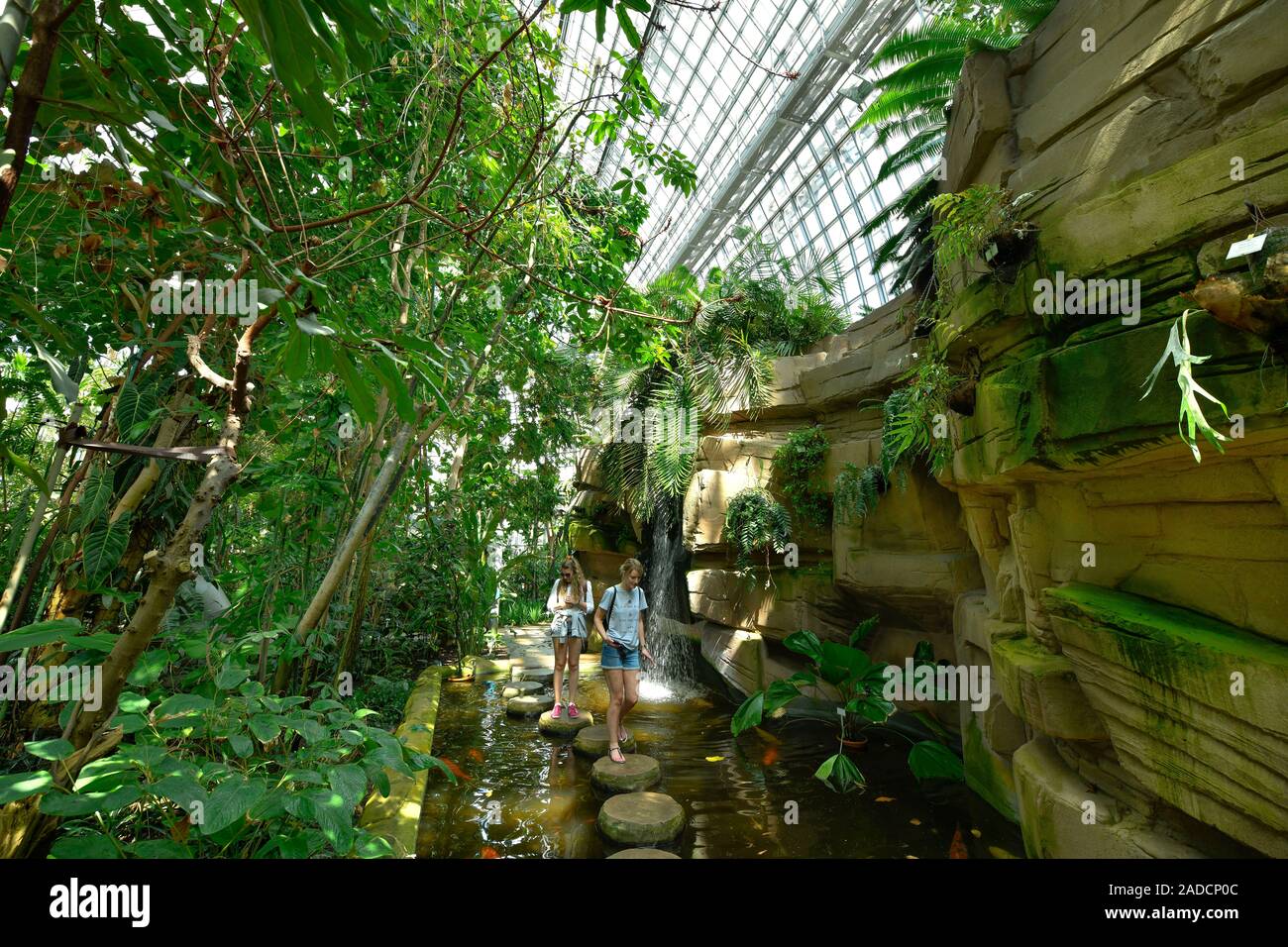 Großes Tropenhaus, Botanischer Garten, Königin-Luise-Straße, Lichterfelde, Steglitz-Zehlendorf, Berlin, Deutschland Stockfoto