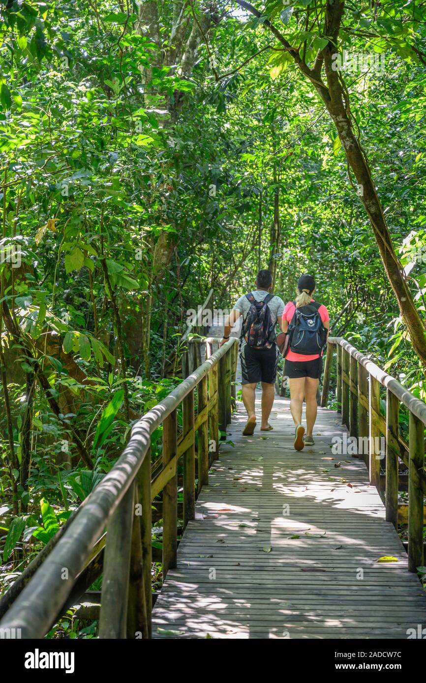 Nationalpark Manuel Antonio Costa Rica Stockfoto