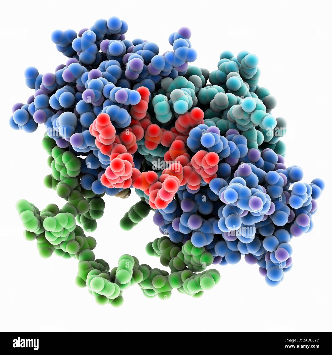 RNARNAbase Stacking in der RNA (Ribonukleinsäure) Chaperon Hfq