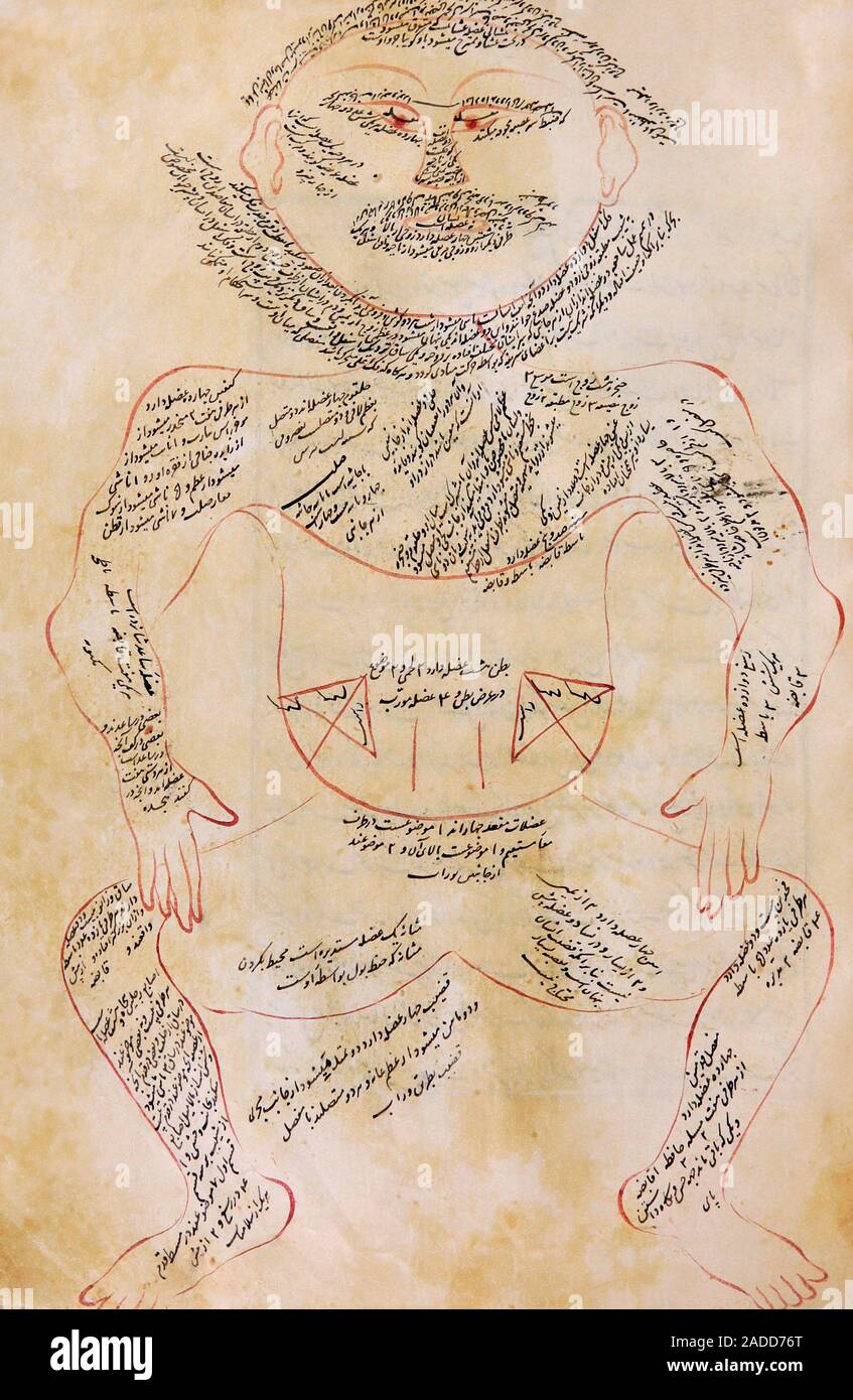 Der Mansur Anatomie. Im 15. Jahrhundert Darstellung der menschlichen