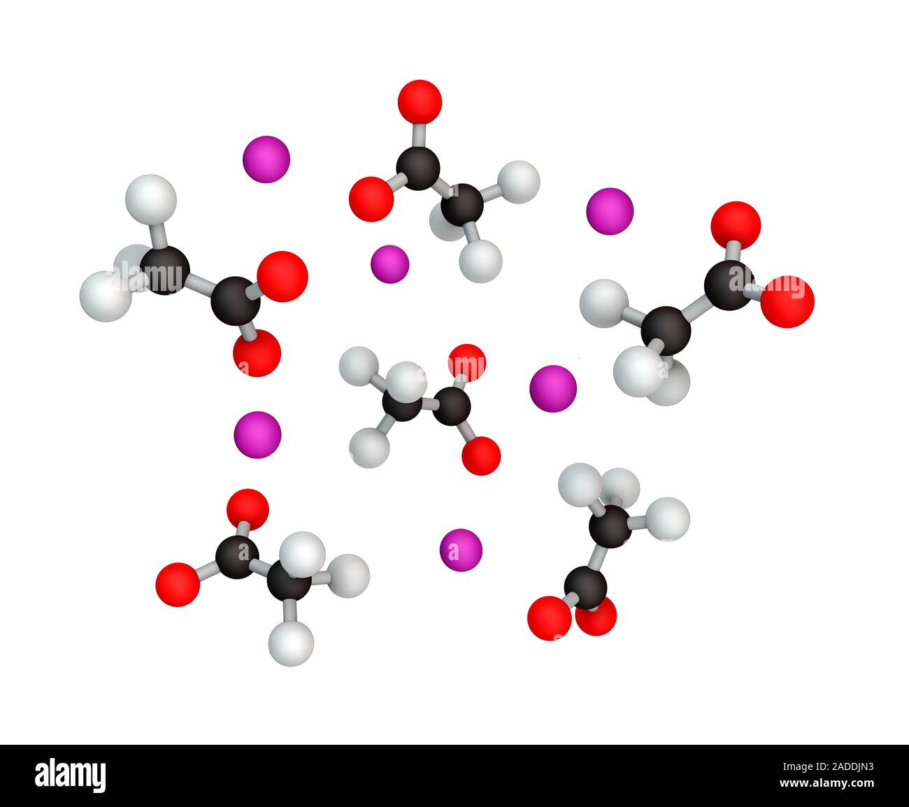 Natriumacetat. Molekulare Modell der Natriumacetat Moleküle, die in Wasser dissoziiert haben Natriumionen (rosa) und Acetat Ionen (rot, schwarz und zu bilden Stockfoto