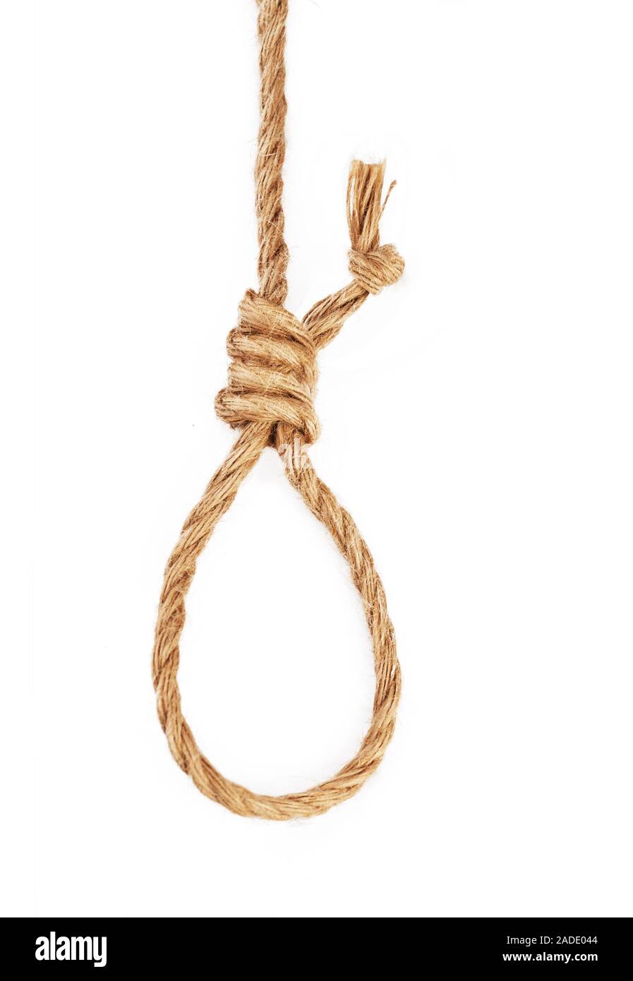 Galgen hängenden Seil Knoten auf weißem Hintergrund Stockfoto