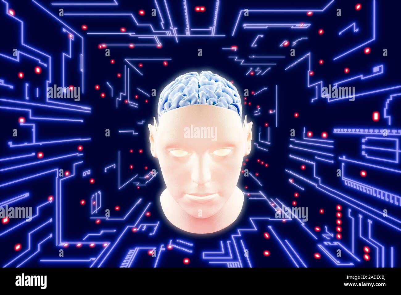 Knstliche Intelligenz, konzeptionelle Darstellung. Menschlichen Kopf und  Gehirn mit computer Schaltungen, die knstliche Intelligenz (KI). Diese  gehren Stockfotografie - Alamy