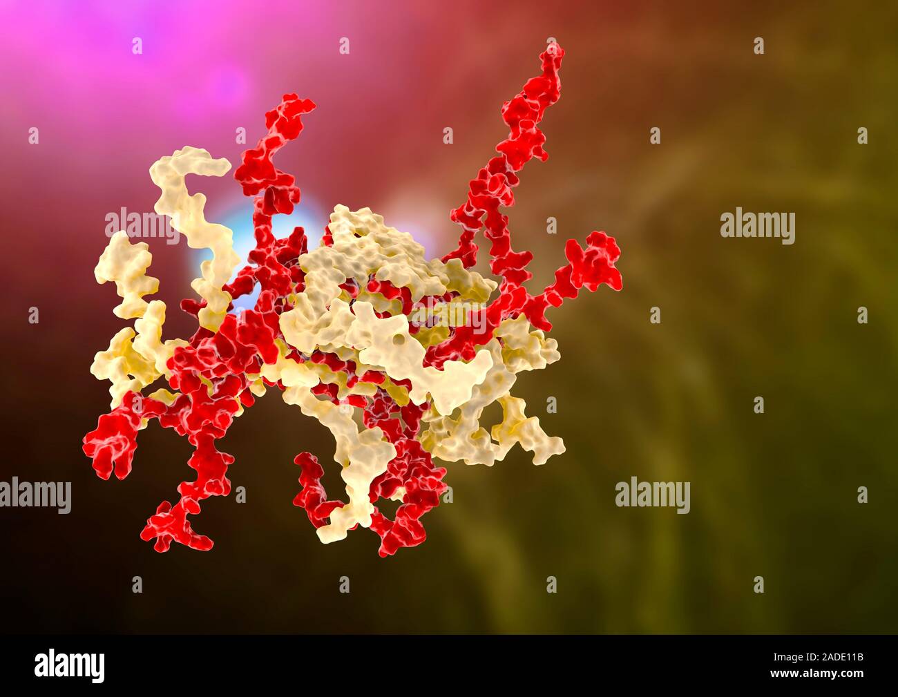 Protein Alpha-Synuclein bei Parkinson, molekulare Modell. Das Protein alpha-Synuclein ist hier dargestellt, der sich in den verschlingungen genannt Fibrillen. Es ist Tho Stockfoto