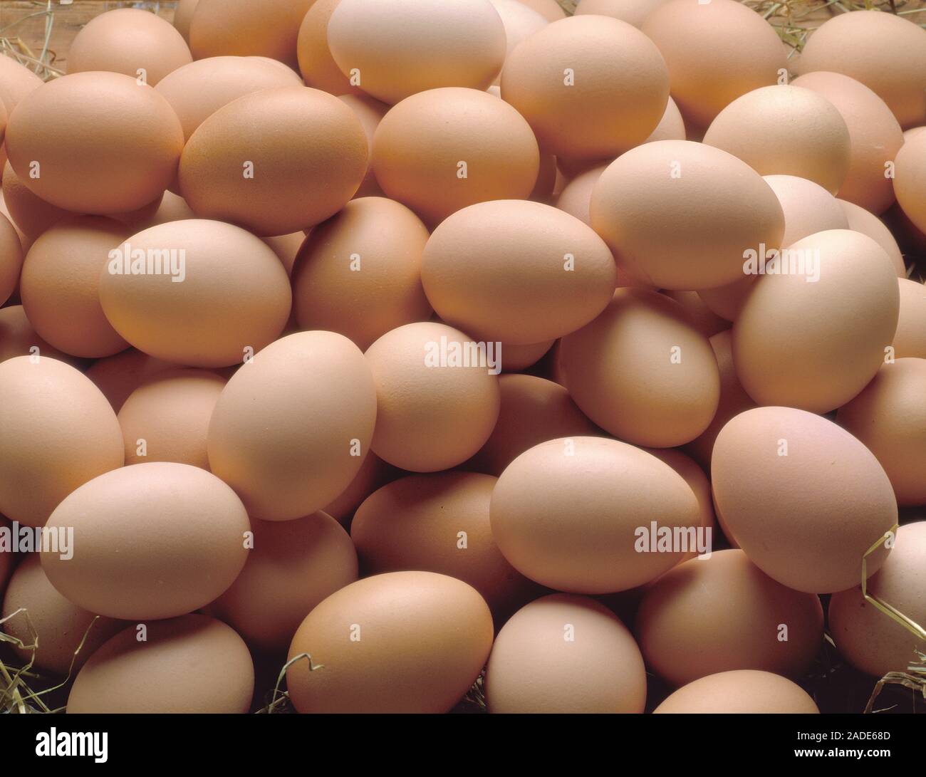 Huhn eier Gruppe. Stockfoto