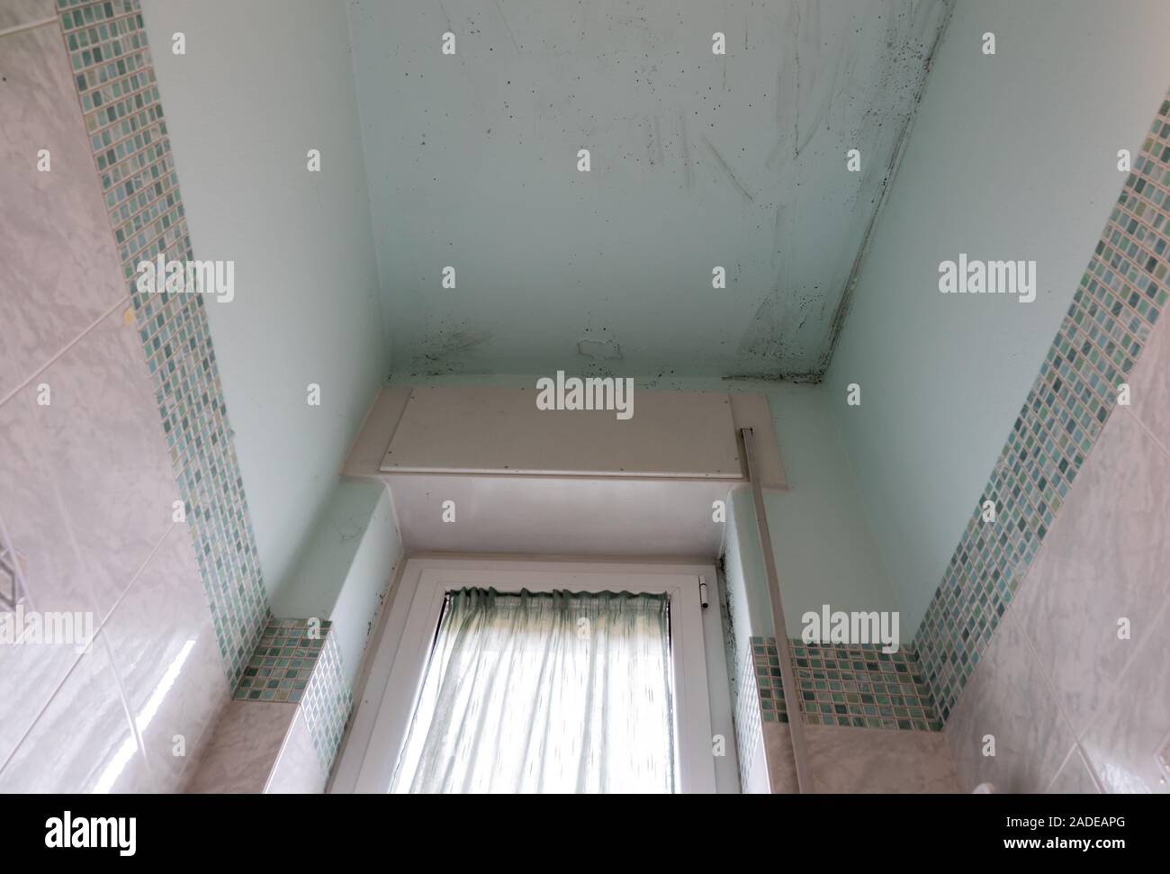 Schimmel an den Wänden im Bad, die durch den Dampf gebildet wird Stockfoto