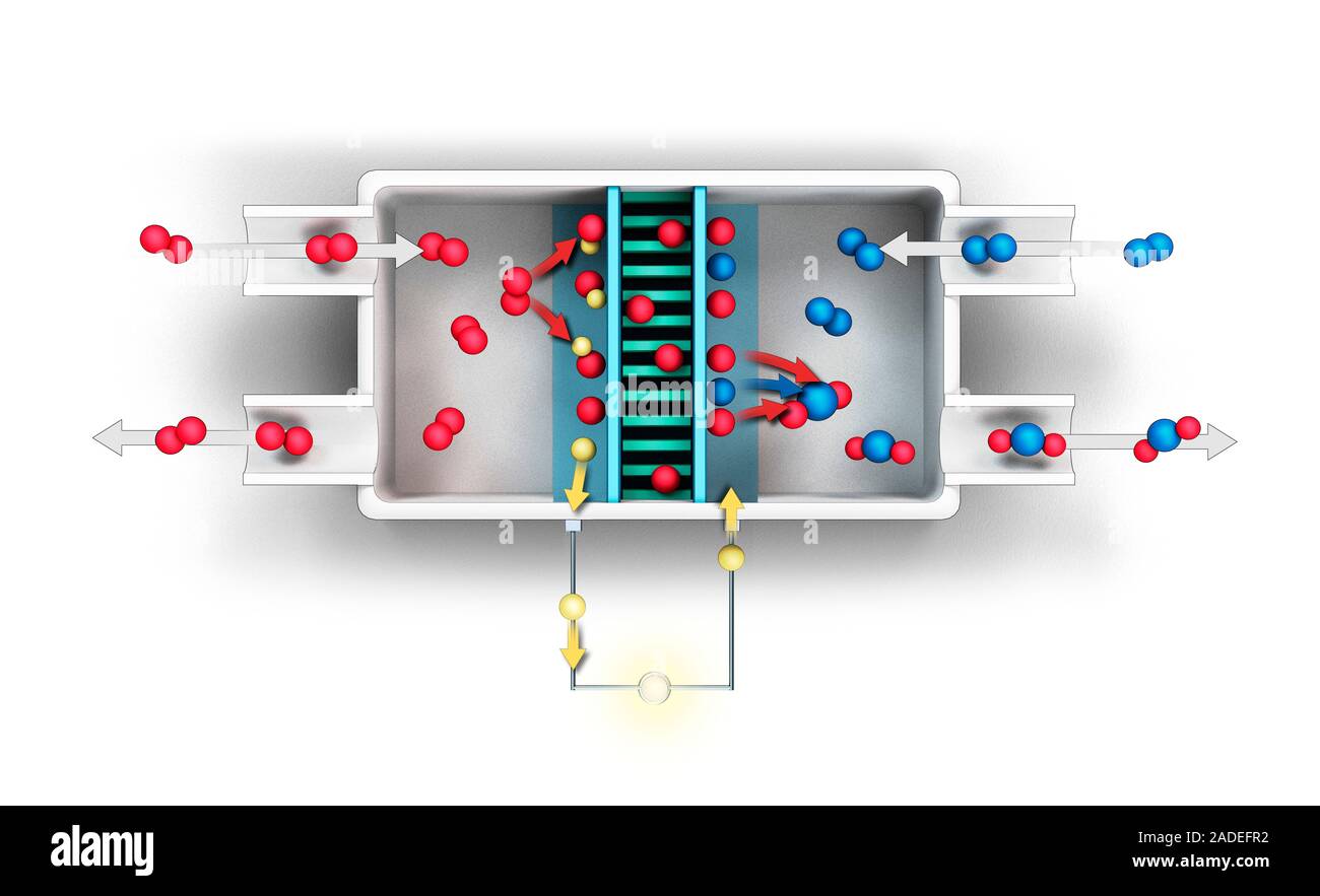 Brennstoffzelle, Illustration. Dies ist eine saubere und effiziente