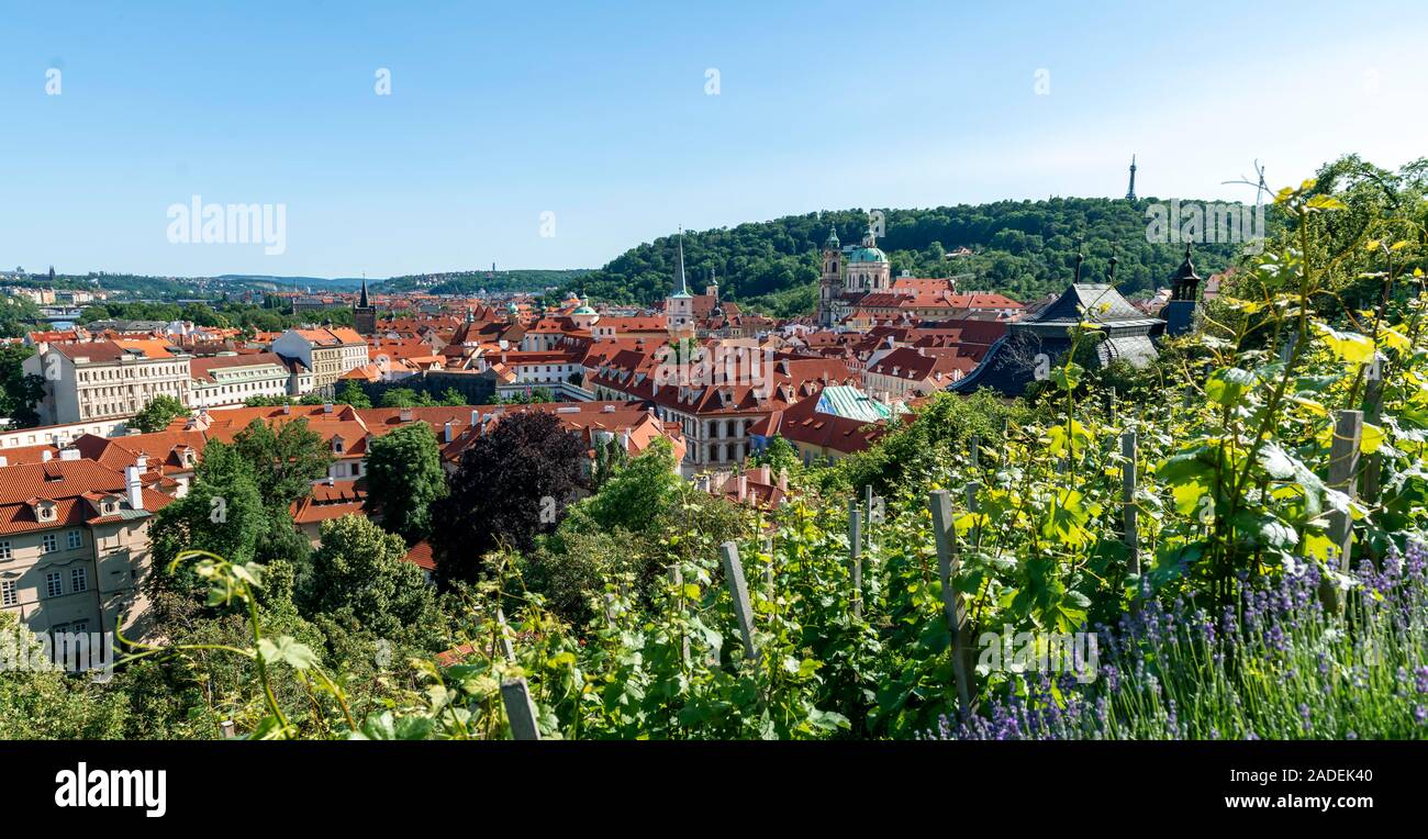 Blick vom Hradschin über den Weinberg in die Stadt mit der St.-Nikolaus-Kirche, Prager Kleinseite , Prag, Tschechische Republik Stockfoto