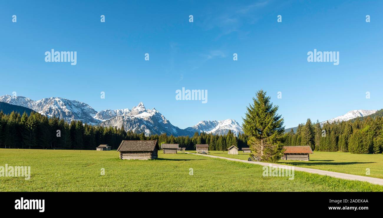 Scheunen in einer Wiese, Ehrwalder Sonnenspitz und Bergen, in der Nähe von Ehrwald, Tirol, Österreich Stockfoto