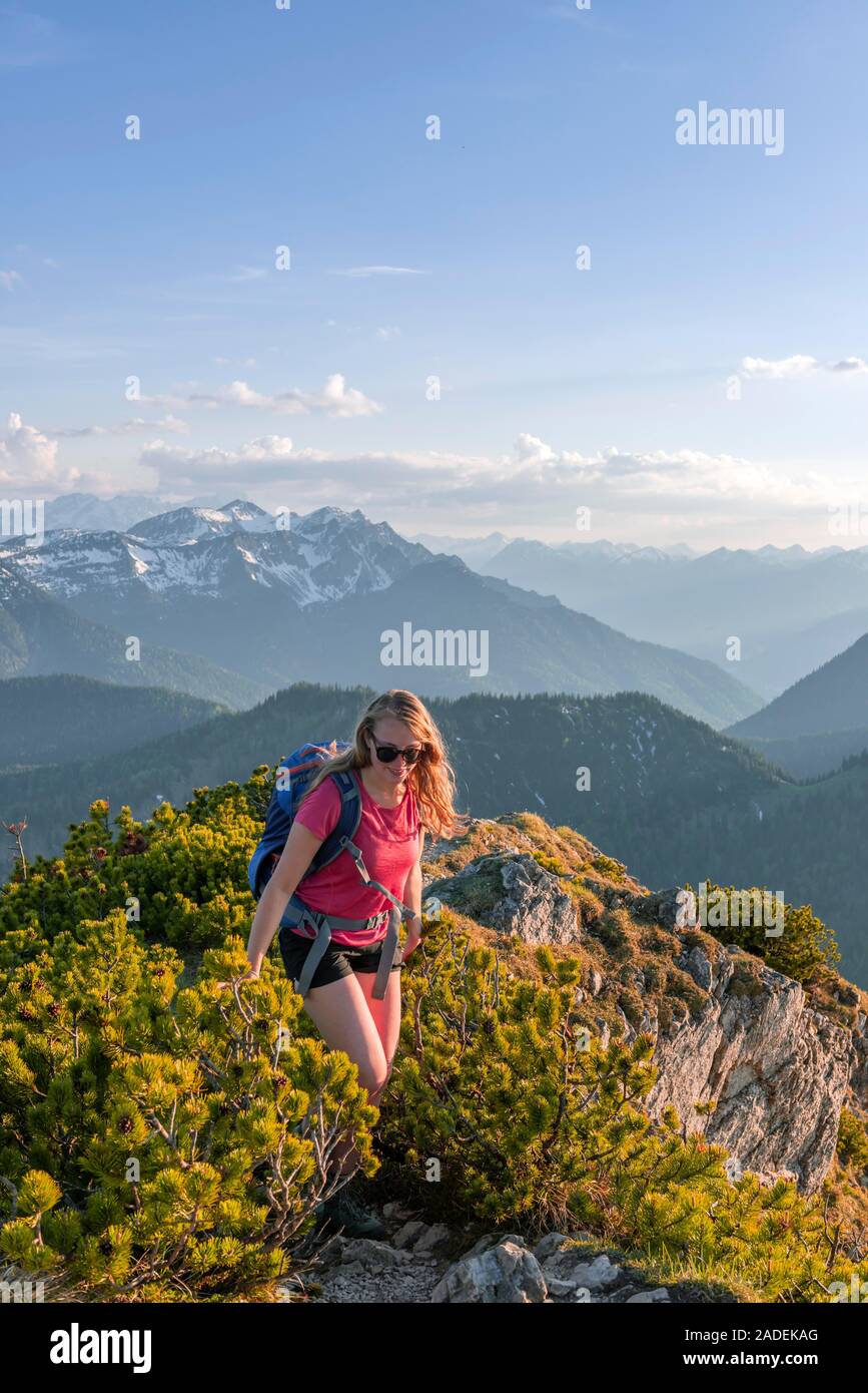 Berglandschaft, Wanderer auf dem Wanderweg der Herzogstand Heimgarten überqueren, Oberbayern, Bayern, Deutschland Stockfoto