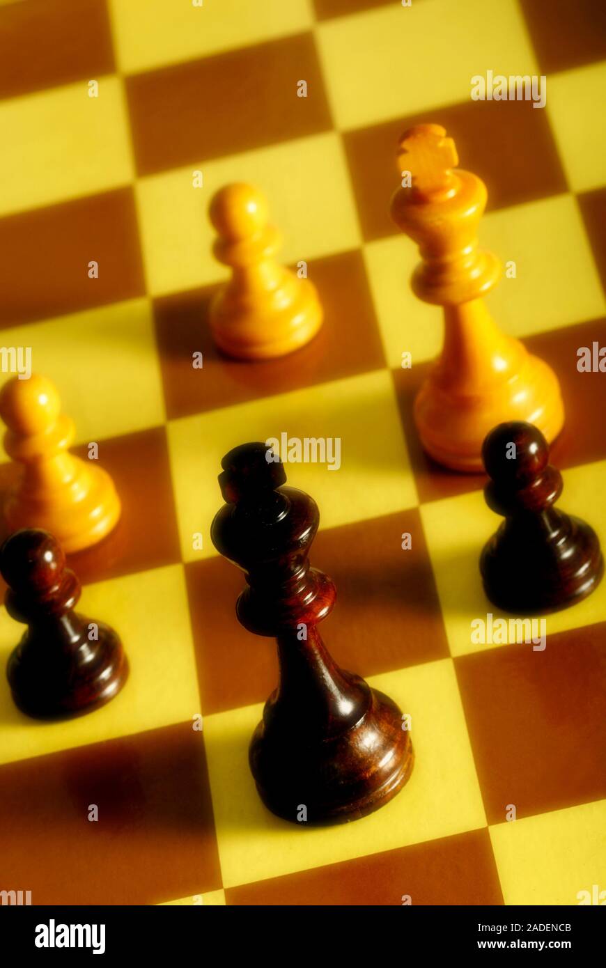 Schach Königen und Bauern auf einem Schachbrett Stockfoto