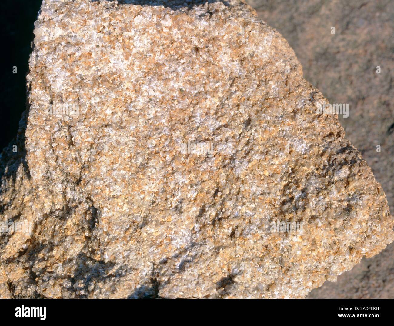Sandstein. Nahaufnahme einer Probe aus Sandstein ist ein Sedimentgestein. Stockfoto
