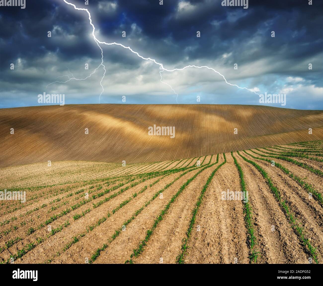 Blitz über dem Feld. malerische hügelige Feld Stockfoto