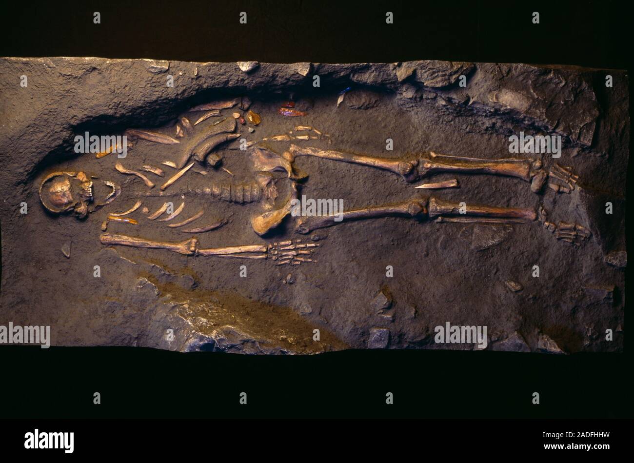 Скелет из ла-шапель-о-сен. Останки кроманьонцев. Австралопитек питекантроп неандерталец кроманьонец. Кро-маньон во франции. Останки кроманьонцев.