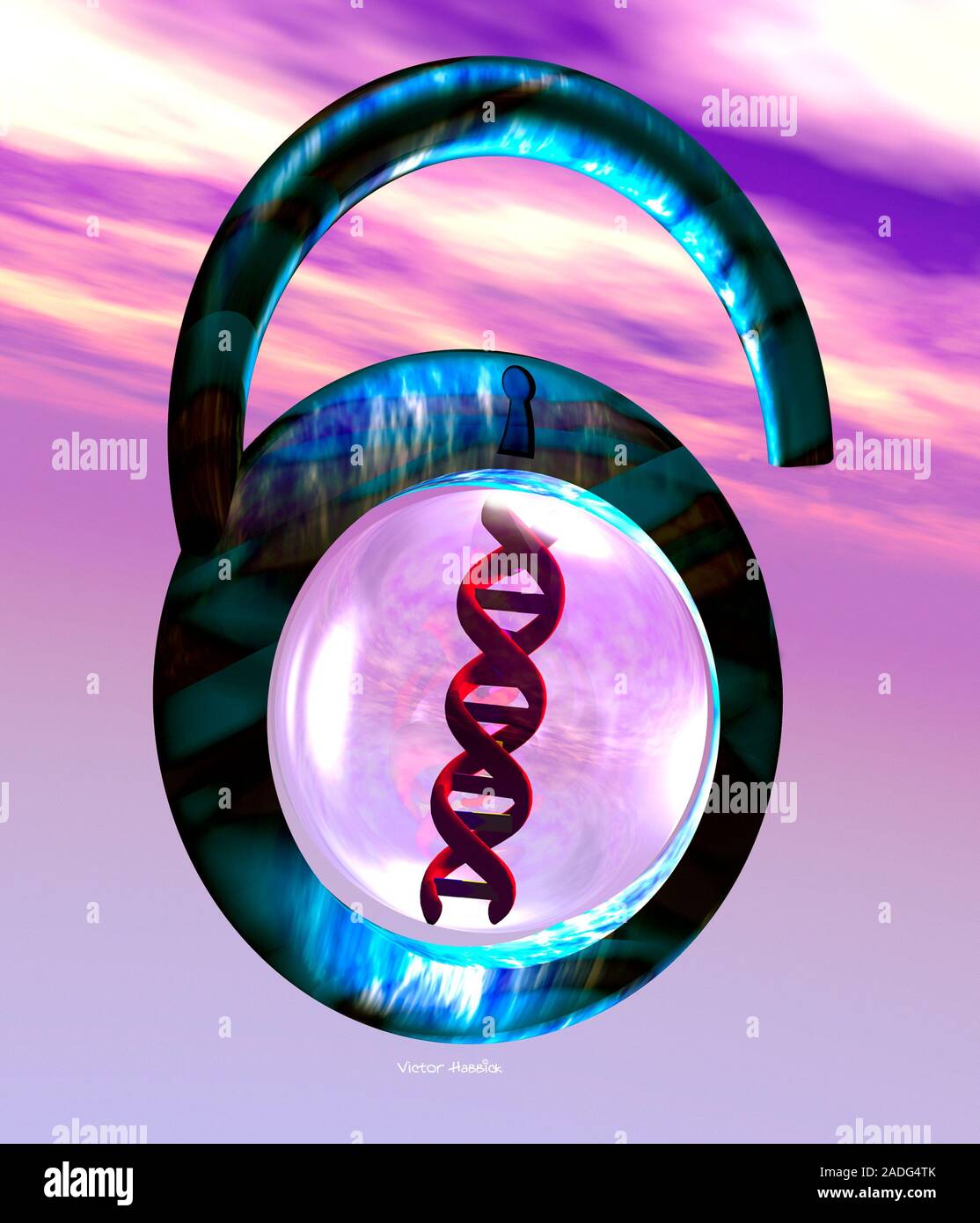 Entriegelung genetischen Code. Konzeptionelle computer Artwork von einem Strang der DNA (Desoxyribonukleinsäure) in einem Entsperrten Vorhängeschloss. Dies kann repräsentieren die entschlüsseln Stockfoto