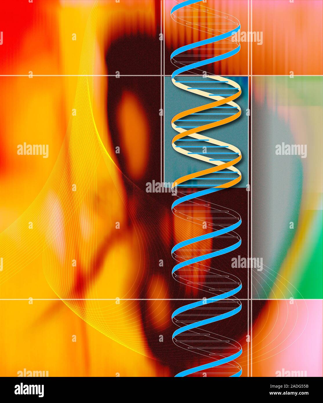 DNA-Molekül (unten rechts), computer Artwork. DNA (Desoxyribonukleinsäure) besteht aus zwei Teilen von Zucker Phosphate bilden eine Doppelhelix (Spirale). Stockfoto