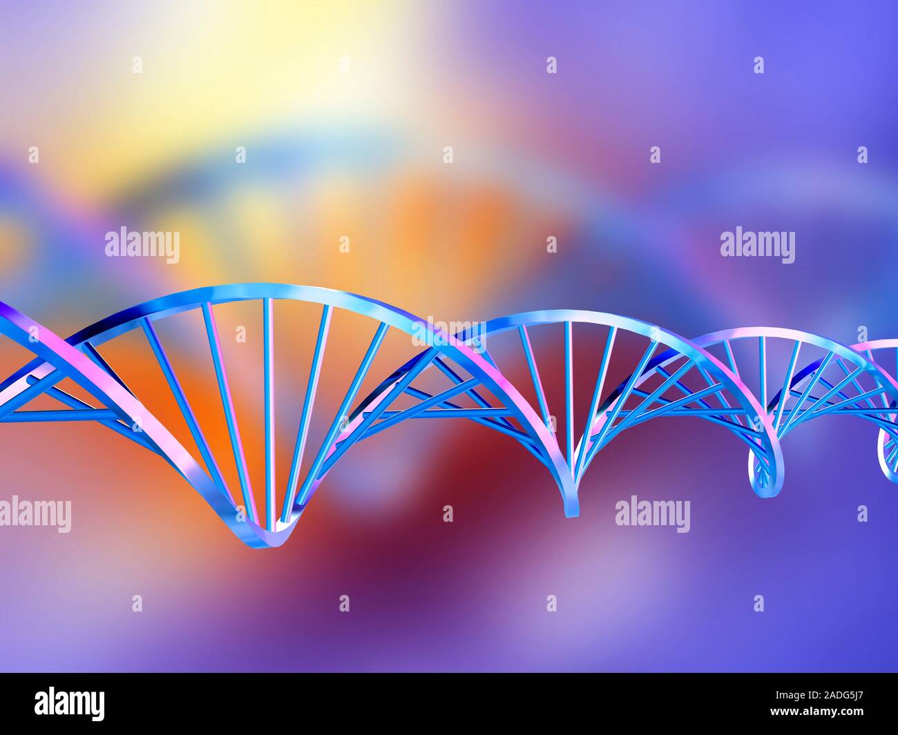 DNA-Molekül. Computer artwork eines Moleküls von Desoxyribonukleinsäure