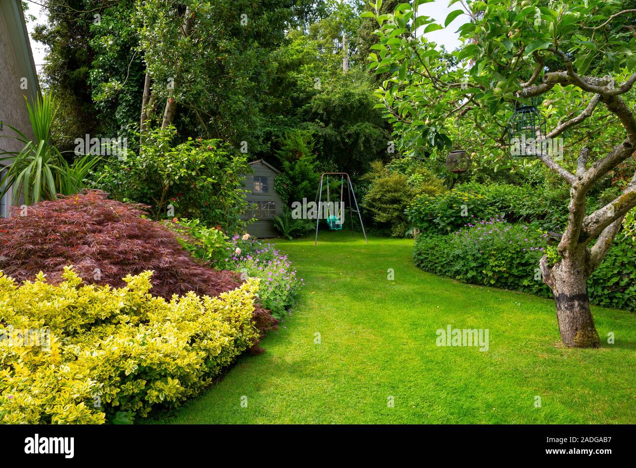 Blick auf abfallenden Garten mit Blumenrabatten. Mit Euonymus undulata