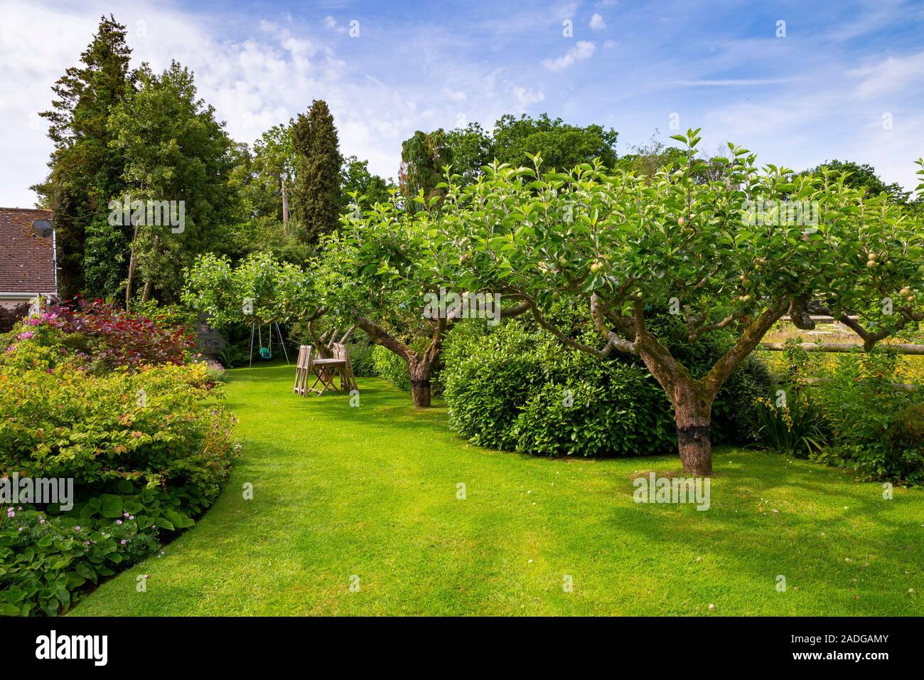 Blick auf abfallenden Garten mit Blumenrabatten. Mit Hazel, Malus 'Bramley" und Malus 'Discovery' Stockfoto