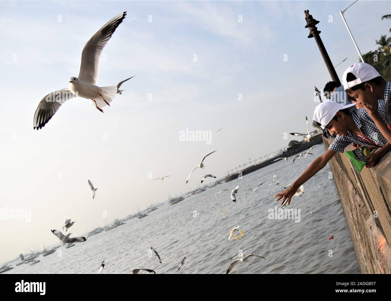 Mumbai. 4. Dez, 2019. Schule Kinder füttern Möwen in Mumbai, Indien, Dez. 4, 2019. Credit: diala Farooqui/Xinhua/Alamy leben Nachrichten Stockfoto