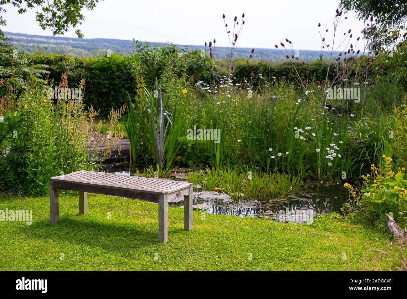 Holzbank Sitzbereich neben einen eingebürgerten Teich Stockfoto