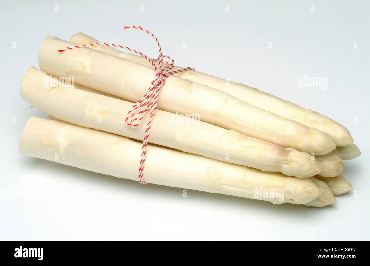 Weißer Spargel (Asparagus officinalis) Spears gebunden zusammen in