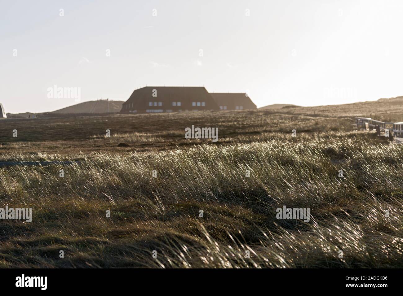 Sylt, Kampen, Duenen, Ferienhaeuser Stockfoto