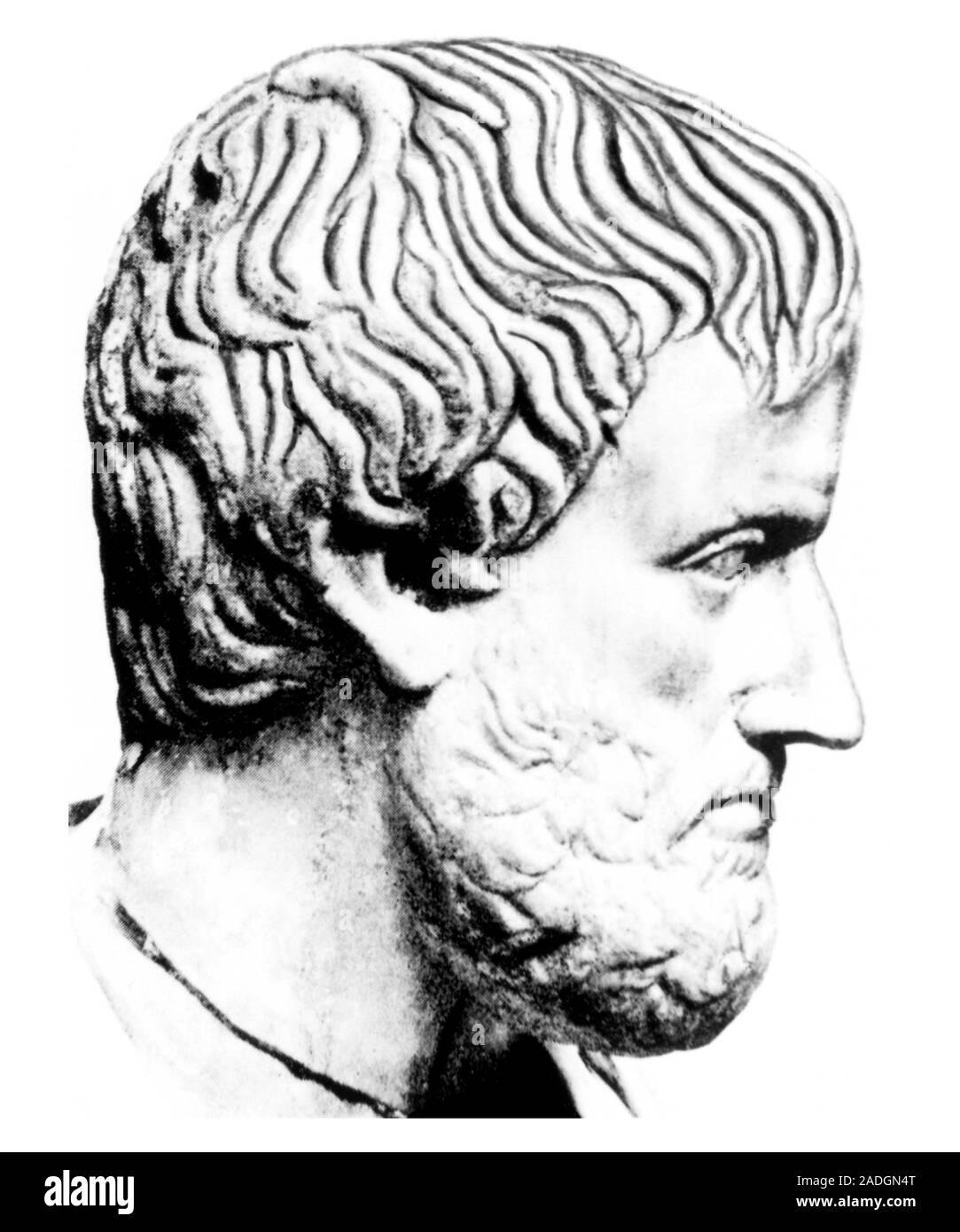 Aristoteles. Büste von Aristoteles (384322 v. Chr.), die Athener