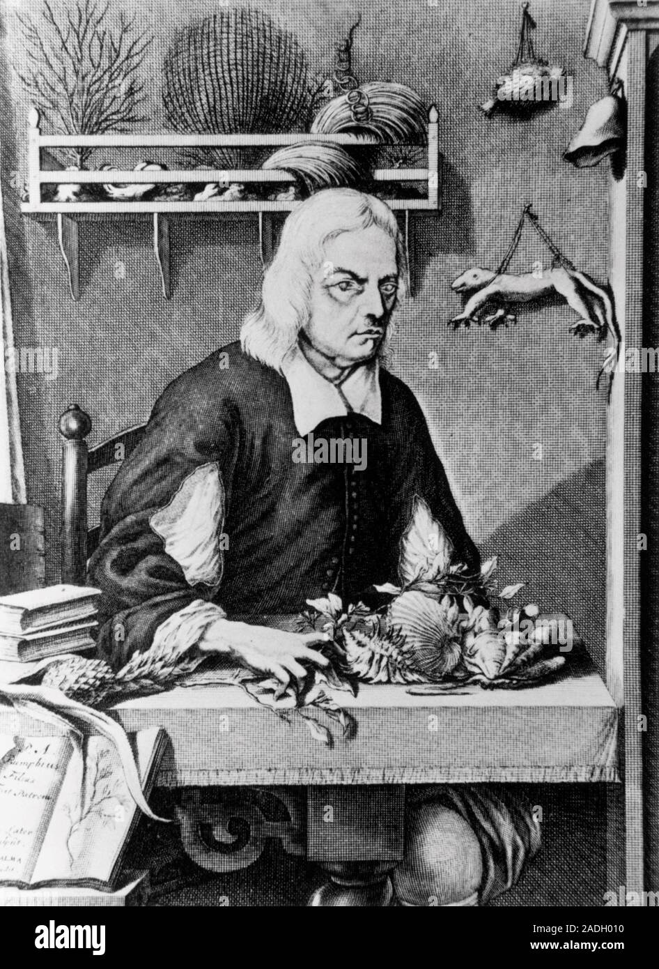 George Rumphius George Rumphius. Portrait der Blinden 18. Jahrhundert Naturforscher ...