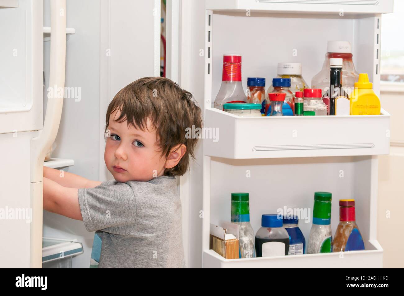 Ein kleiner Junge, der für etwas Süßes im Kühlschrank. Stockfoto