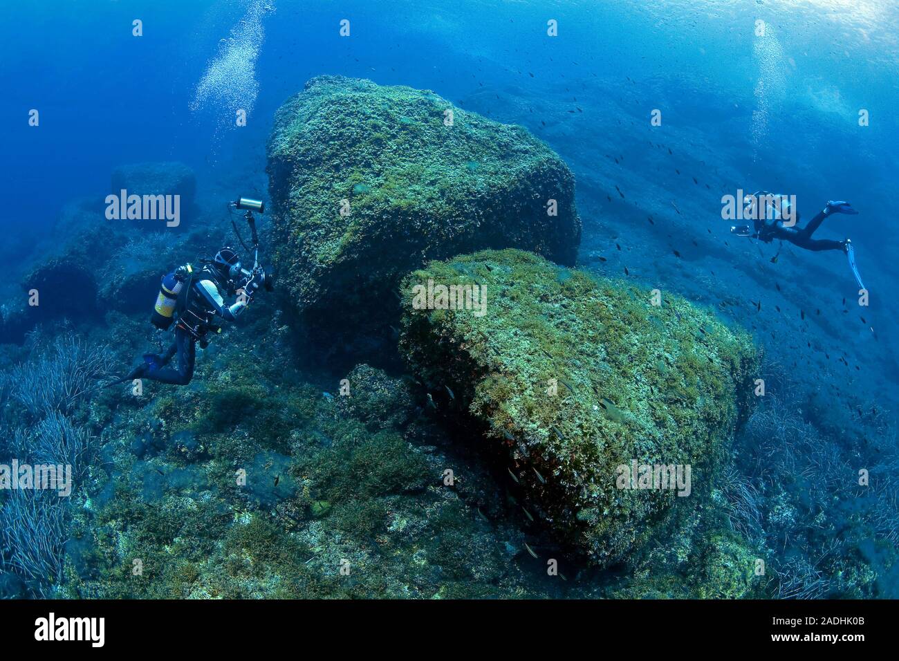 Scuba Diver an einem felsigen Riff, Naturschutzgebiet und Marine Park Dragonera, Sant Elm, Mallorca, Balearen, Spanien Stockfoto