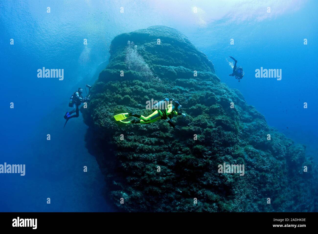 Scuba Diver an einem felsigen Riff, Naturschutzgebiet und Marine Park Dragonera, Sant Elm, Mallorca, Balearen, Spanien Stockfoto