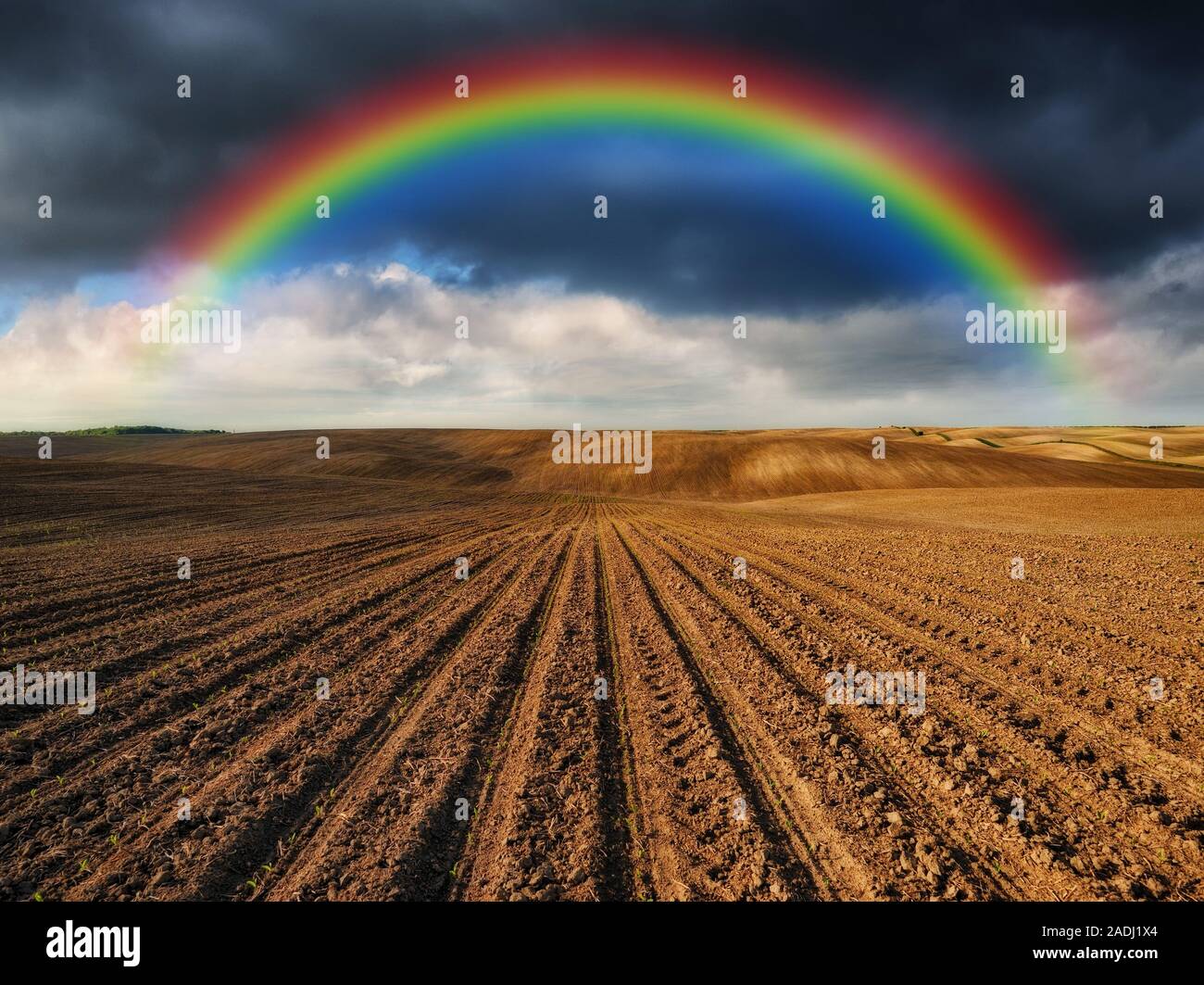 Regenbogen über dem Feld. malerische hügelige Feld Stockfoto