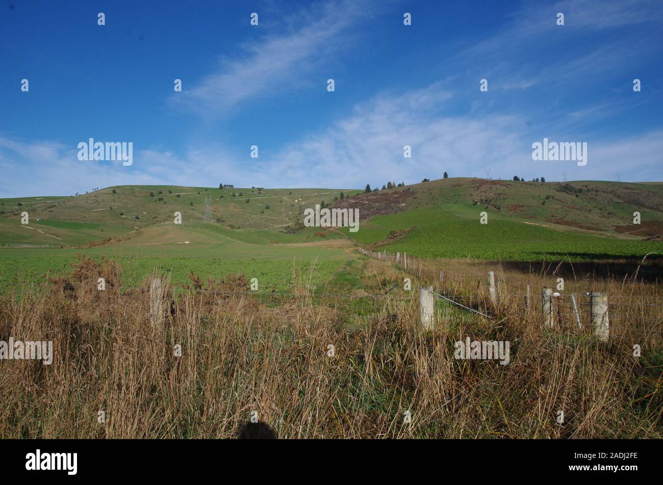 Te Araroa Trail alternative Route. State Highway 79. South Island. Neuseeland Stockfoto