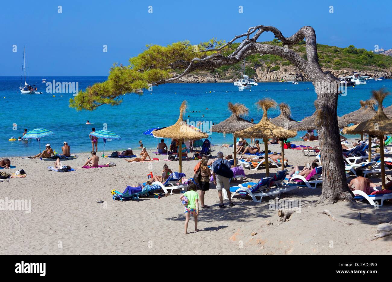 Urlauber am Badestrand bei Sant Elm, San Telmo, Mallorca, Balearen, Spanien | Menschen am Badestrand von Sant Elm, San Telmo, Mallorca, Balearen Insel Stockfoto