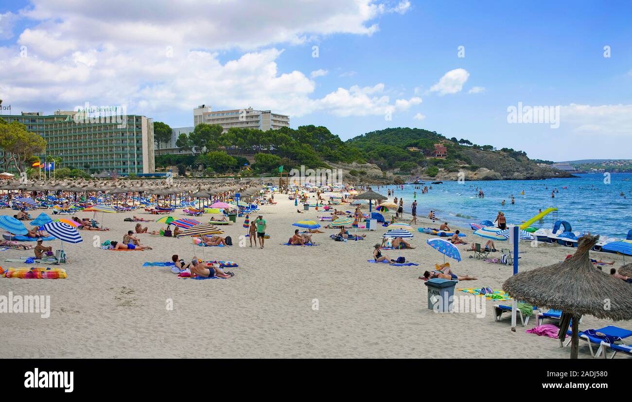 Baden Strand in Paguera, Mallorca, Balearen, Spanien Stockfoto