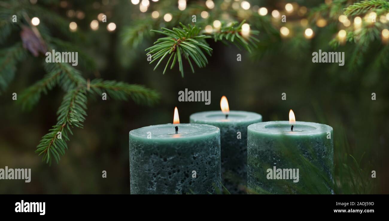 Kerzenlicht, tanne Zweig, Kerzen Stockfoto